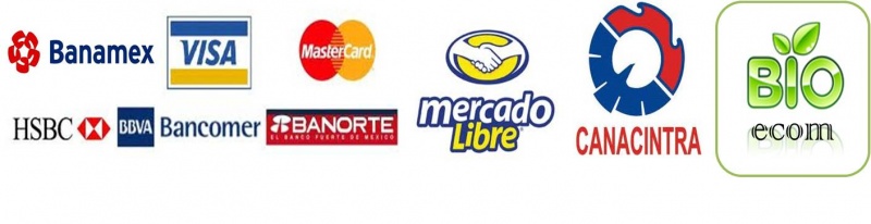 Formato de pago